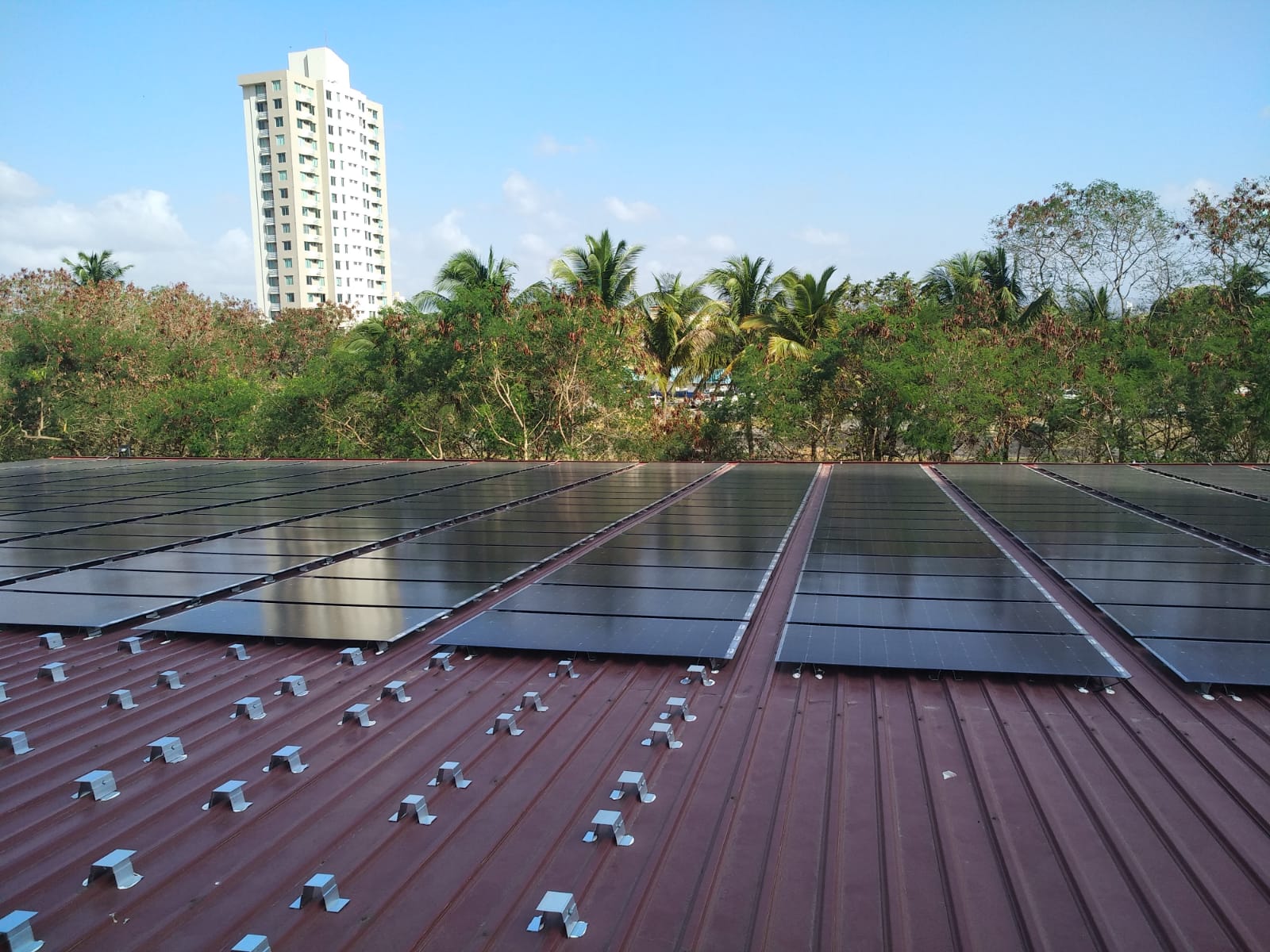 WhatsApp Image 2019-02-21 at 14.11.55 (1).jpeg