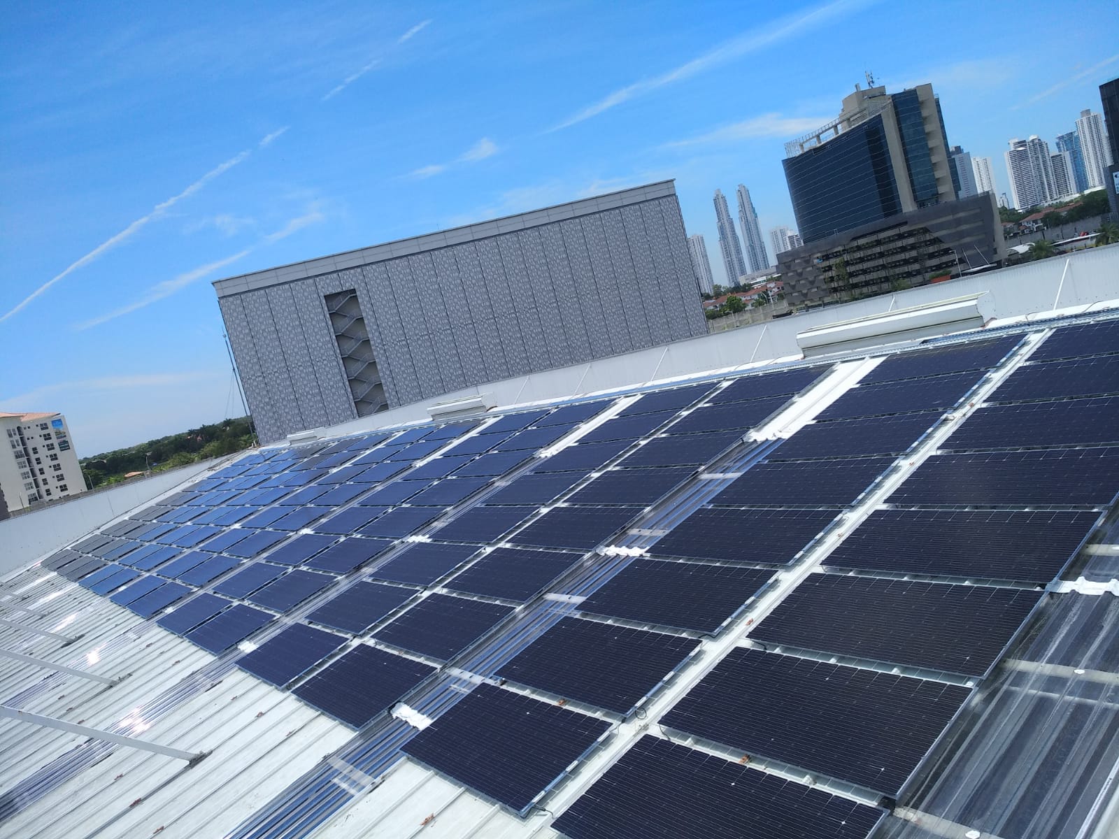 WhatsApp Image 2019-05-17 at 08.21.55.jpeg